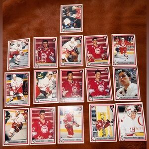 1991 Sault St. Marie Greyhounds OHL Vintage Hockey Trading Cards Collection